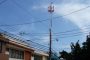 Diputada del FA solicita al alcalde de Montes de Oca sentar responsabilidades por torres de telecomunicaciones