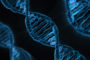 Aprobado en primer debate proyecto para prohibir patentes de células, tejidos y ADN humanos