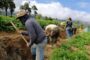Frente Amplio presenta proyectos para proteger  personas trabajadoras rurales