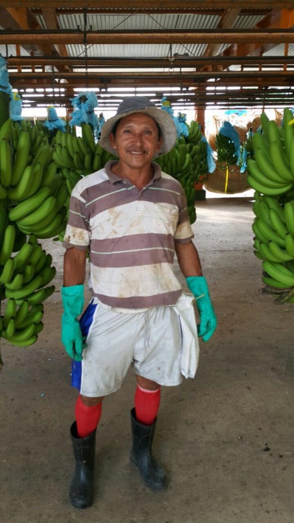 trabajador bananero